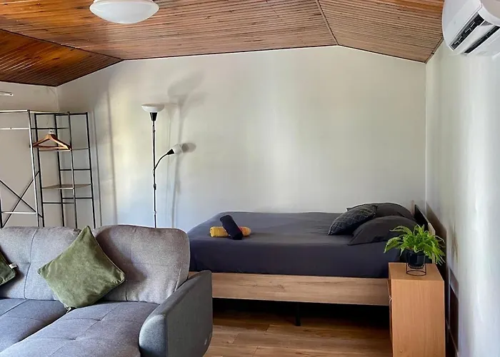 Cozy T1 * 보비니